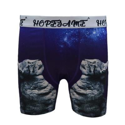 Cat-Animal Element Design|Men Boxer