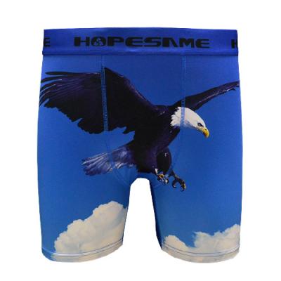 Eagle-Animal Element Design|Men Boxer
