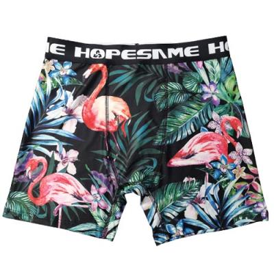 Tropical Print Design|Men Boxer