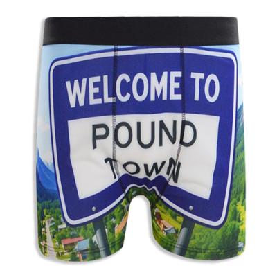 Men's Underwear with Fresh Scenery Print