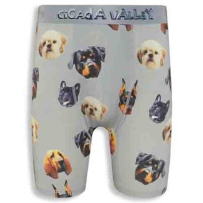 Variety of Puppy Photo Prints