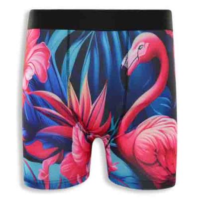 Tropical Style Men's Boxer Briefs with Printed Design