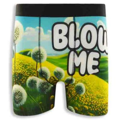 Men's Boxer Briefs with Free and Fresh Print