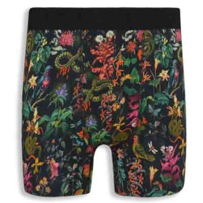 Medieval Retro Botanical Print Design