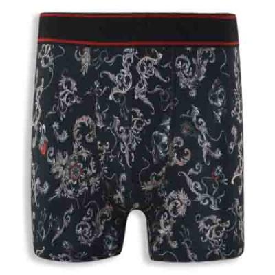 Vintage Dark Style, Slightly Horror Series Men's Printed Underwear