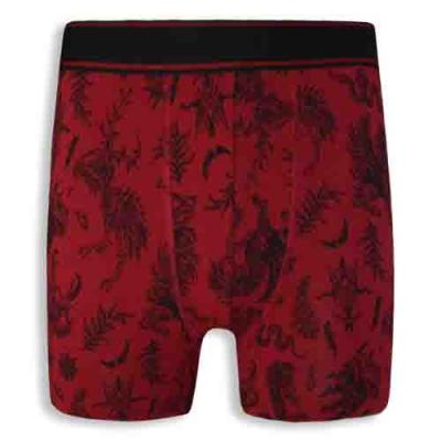 Men's Printed Style Underwear with Knitted Waistband
