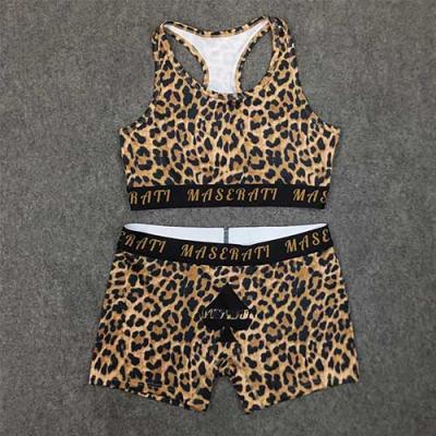 Hot-Selling Leopard Print Polyester/Spandex Women's Sports Set